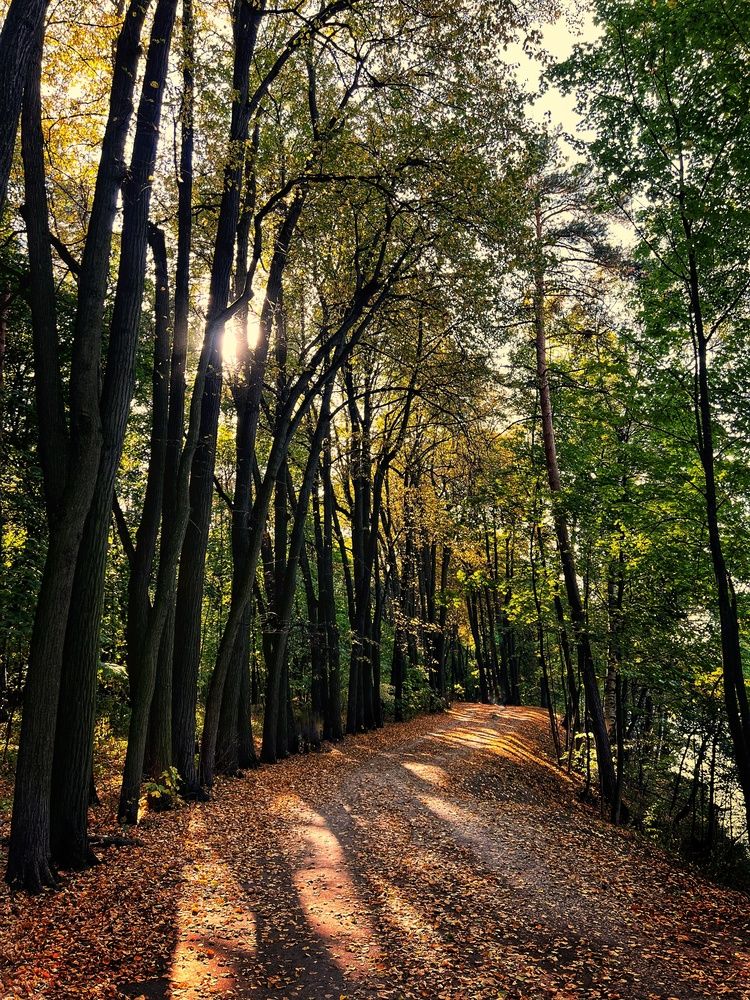 Photograph by Ярославна