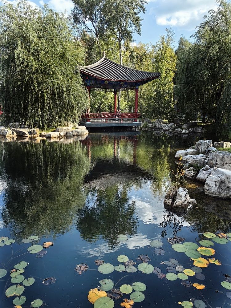 Photograph by Ярославна