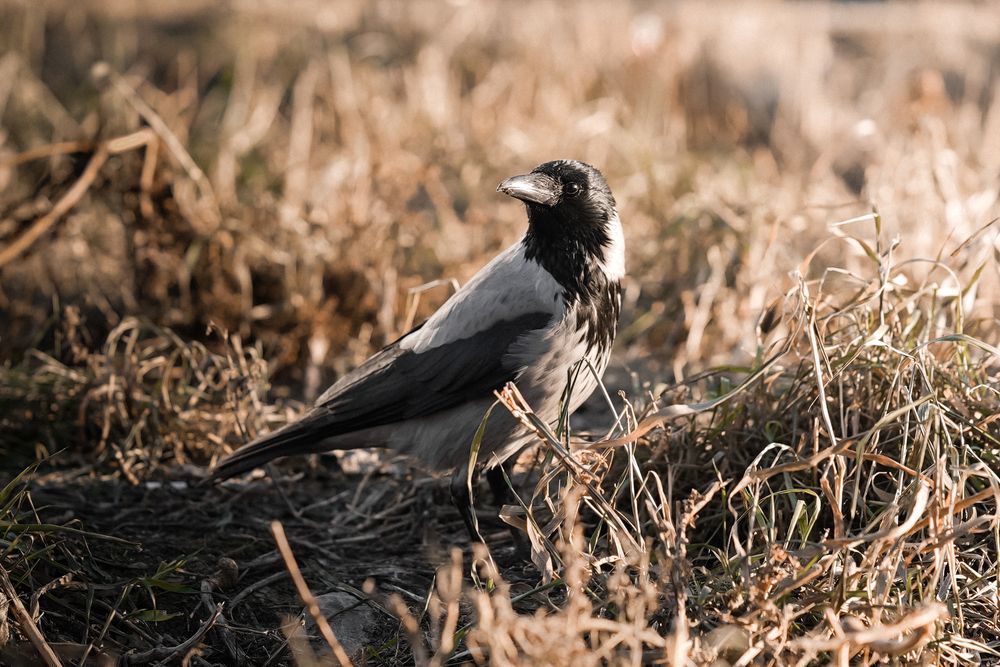 Photograph by Юлия Маркова