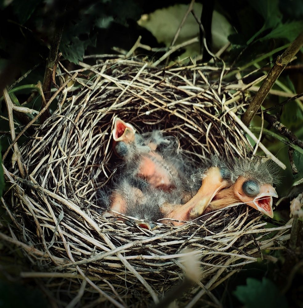 Photograph by Ярославна