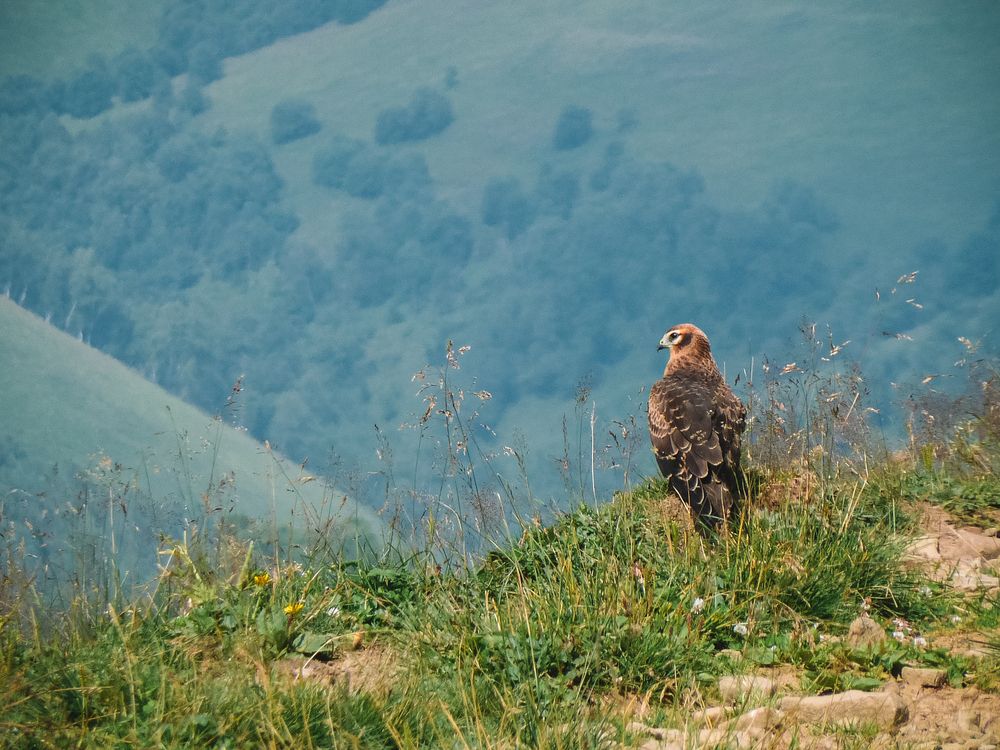 Photograph by Анастасия Лидяева