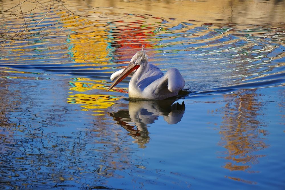 Photograph by Galya Zhdanova