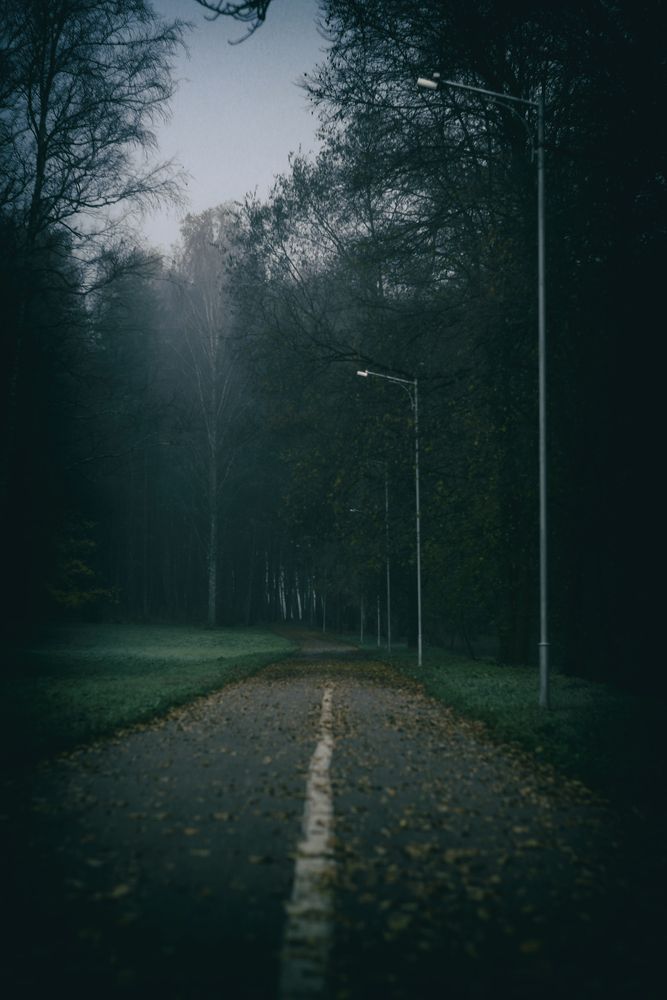 Photograph by Студия НЭКСТ