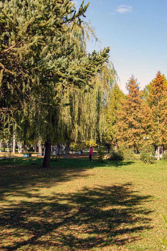Photograph by Игорь Хрусталёв