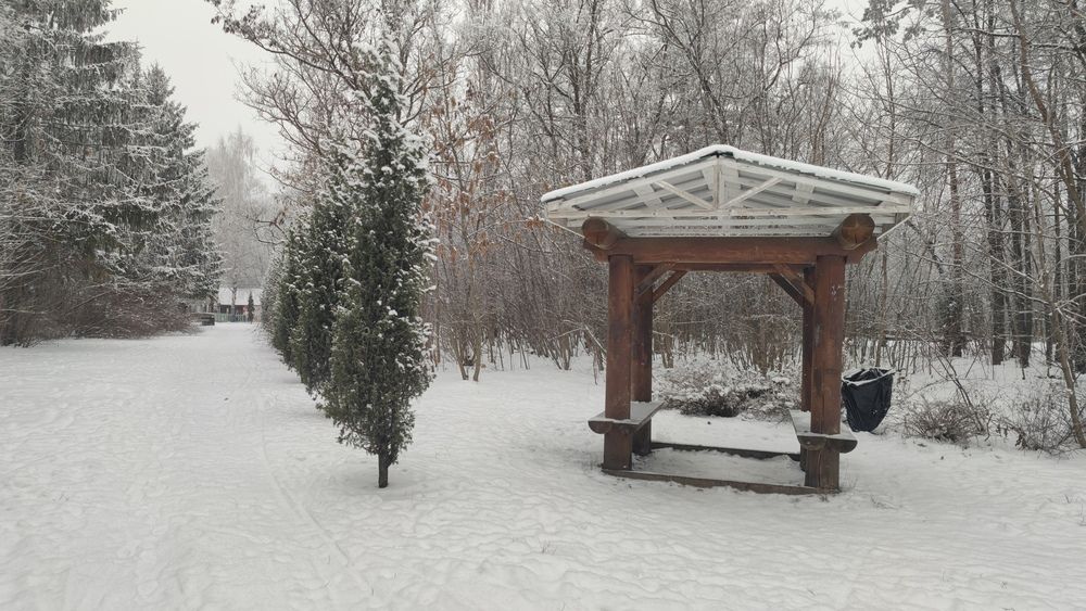 Photo #13077780