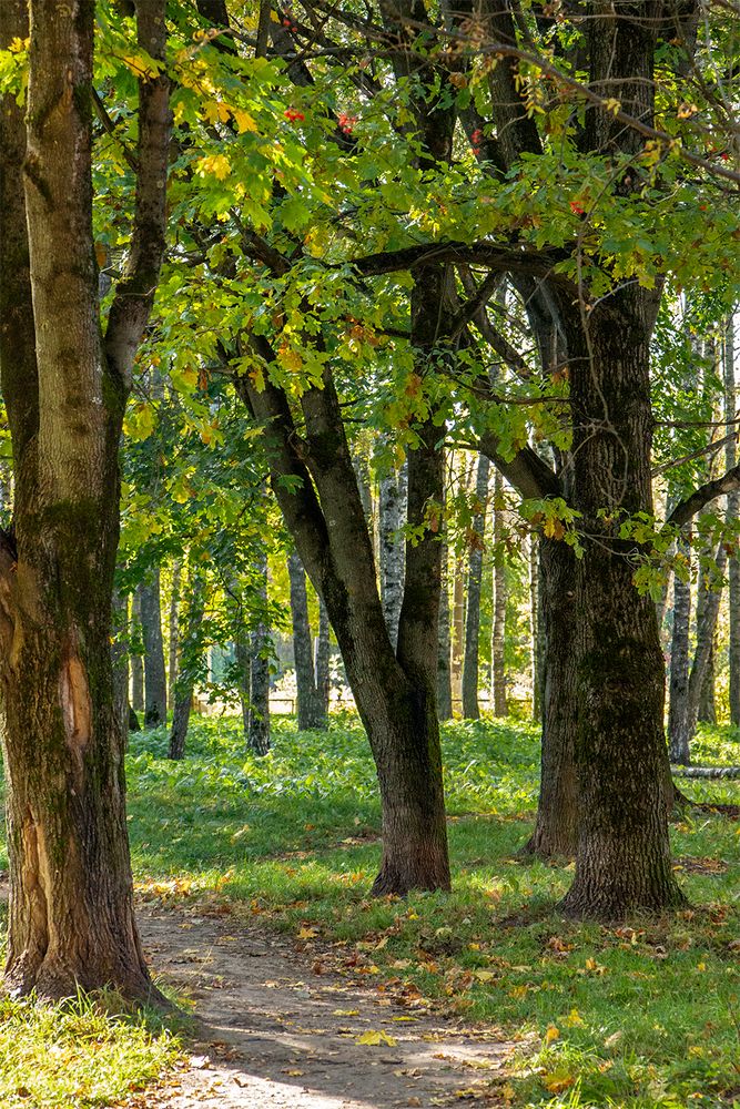 Фотография автора Игорь Кот