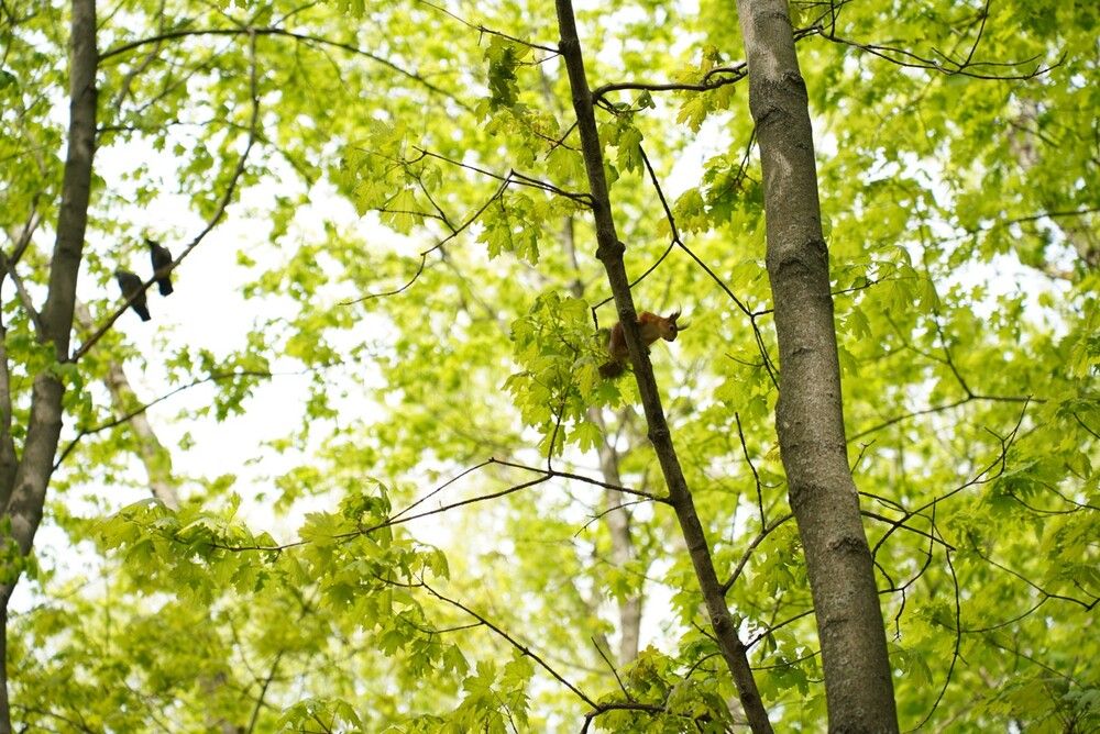 Photograph by Анна Бобкова