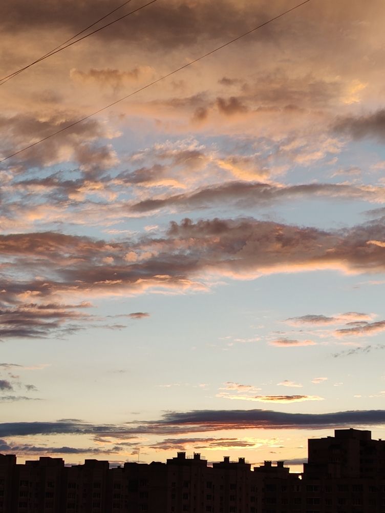 Photo #13077802