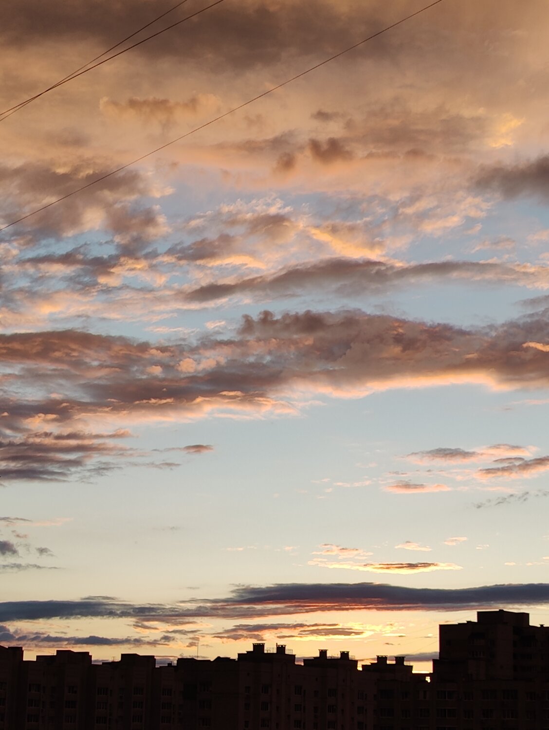Photo #13077802