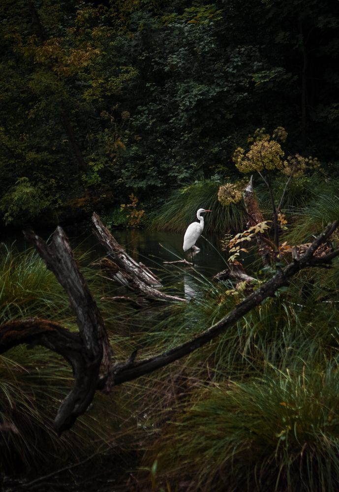 Фотография автора Виктория Трущенко