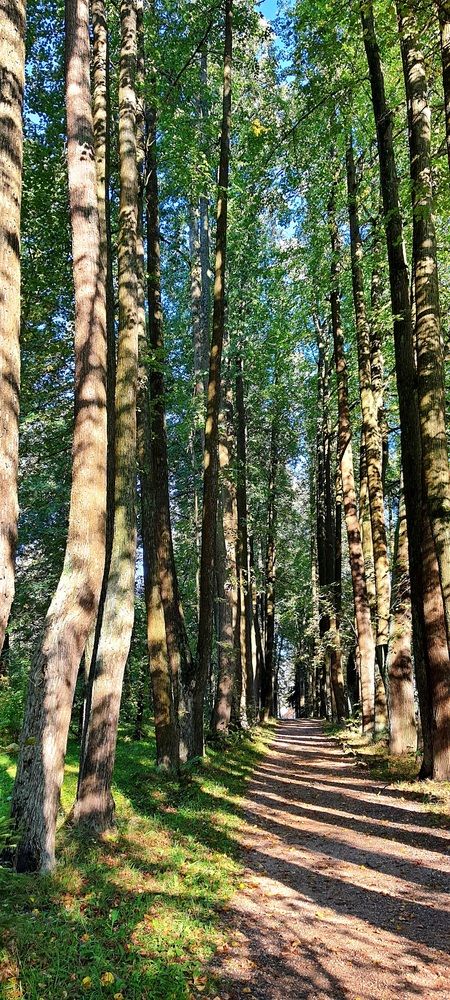 Photograph by Ольга Булавкина