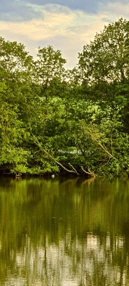 Photograph by Ольга Булавкина