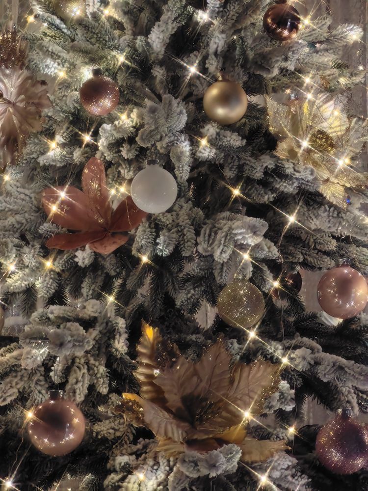 Photograph by Игорь Крыжко