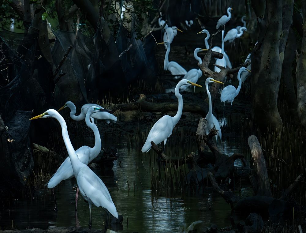 Heron Squad