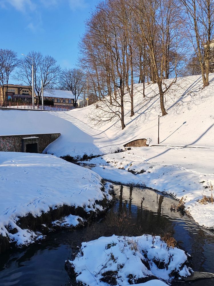 Фотография автора Нестеренко Светлана