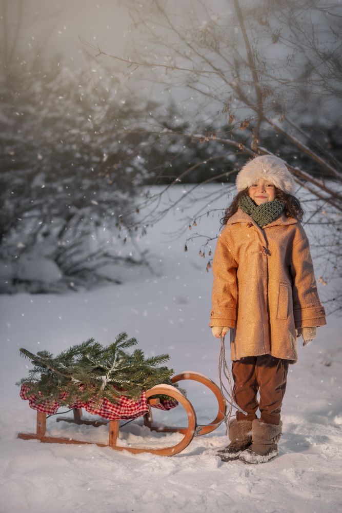Whispers of Winter Childhood