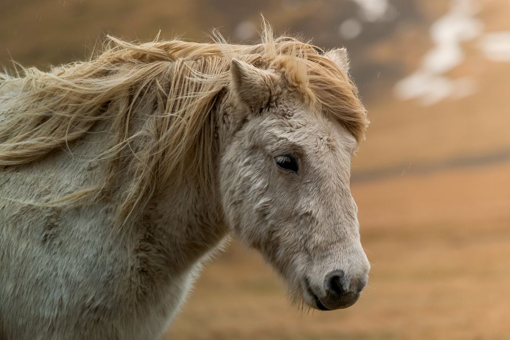 Photograph by Bruno Ribeiro