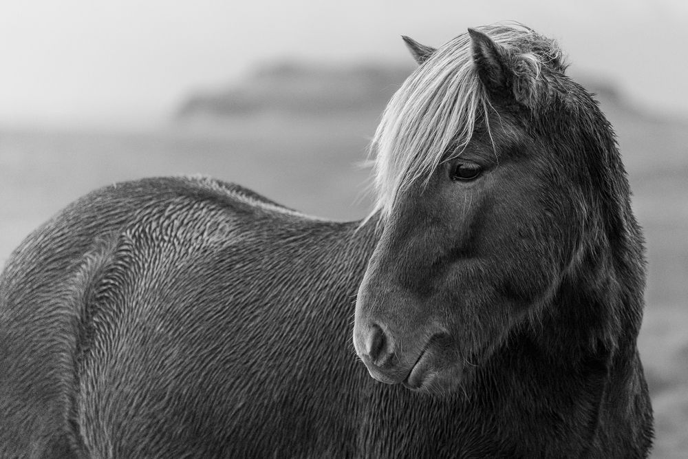 Photograph by Bruno Ribeiro