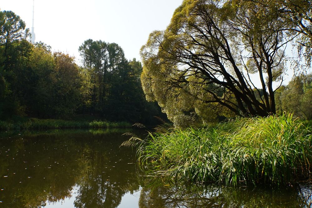 Photograph by сергей мишаков