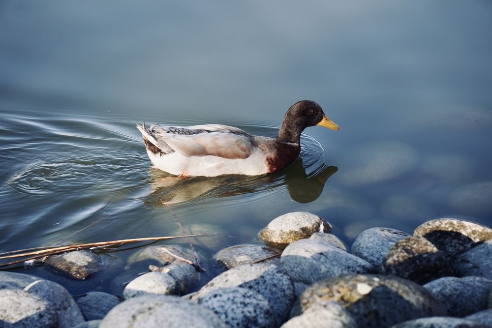 Photograph by Galya Zhdanova