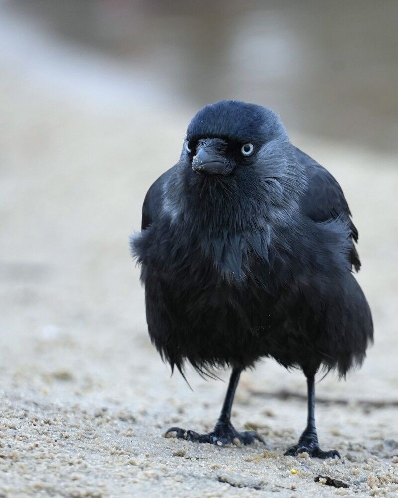 Photograph by Александр Затямин