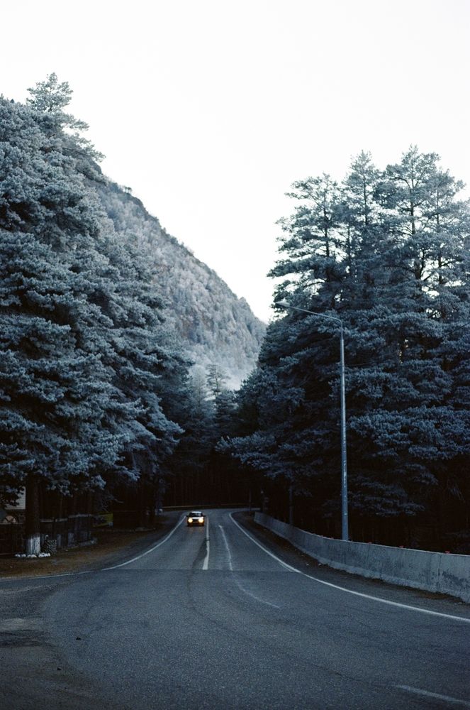 Photograph by Stanislav Rodionov