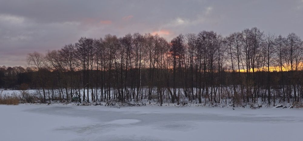 Photograph by mikhail goryachev