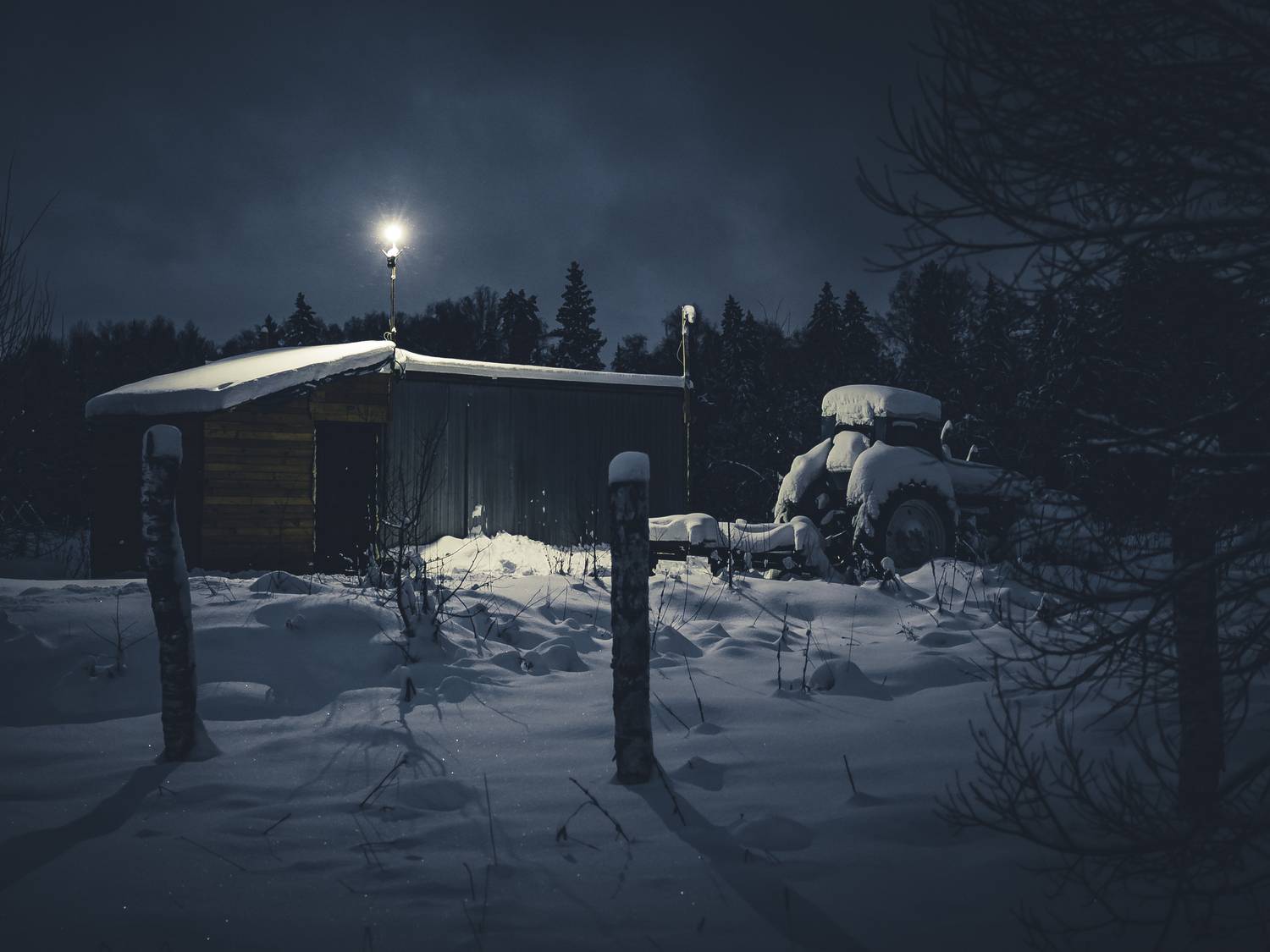 Фотография #13078106