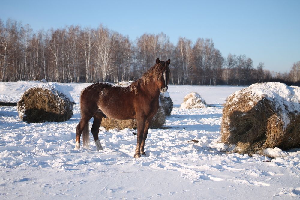 Фотография автора Ольга Слотвинская