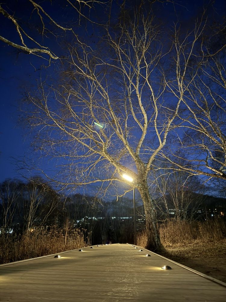 Photograph by Валентина Корякина