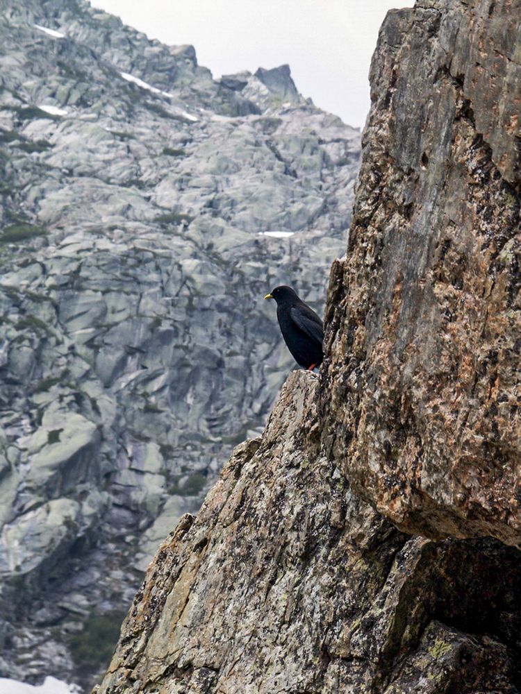 Фотография автора Chorche Prigo