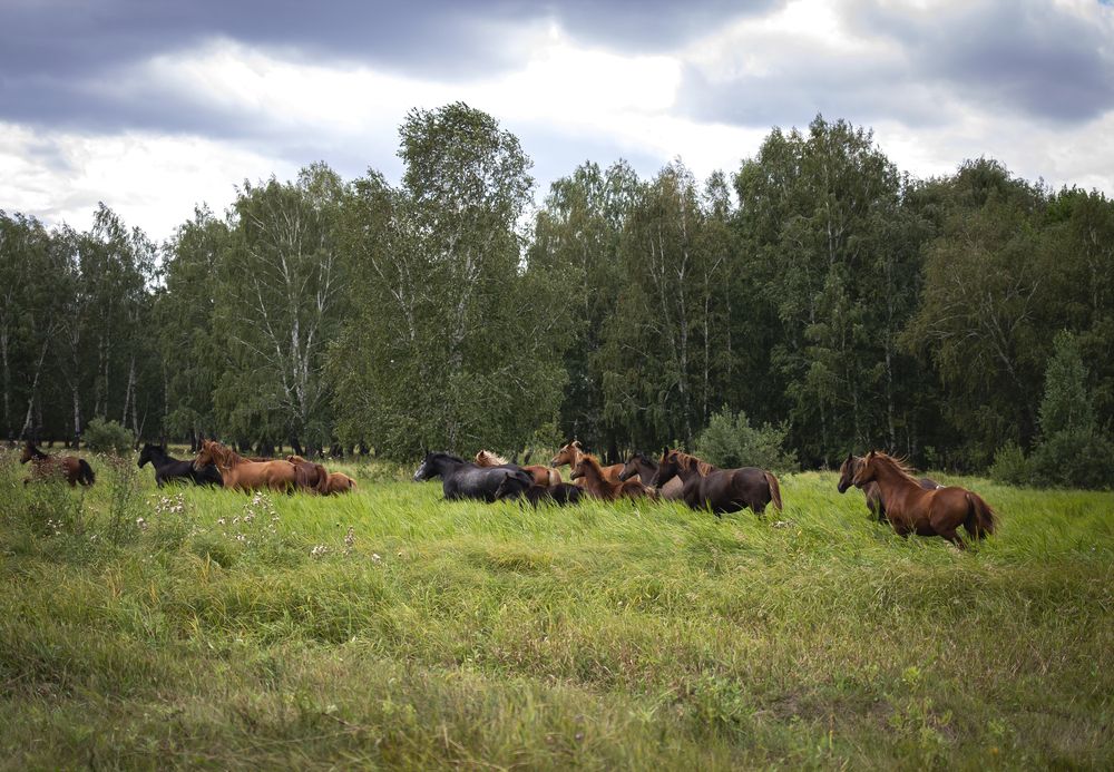 Фотография автора Ольга Слотвинская