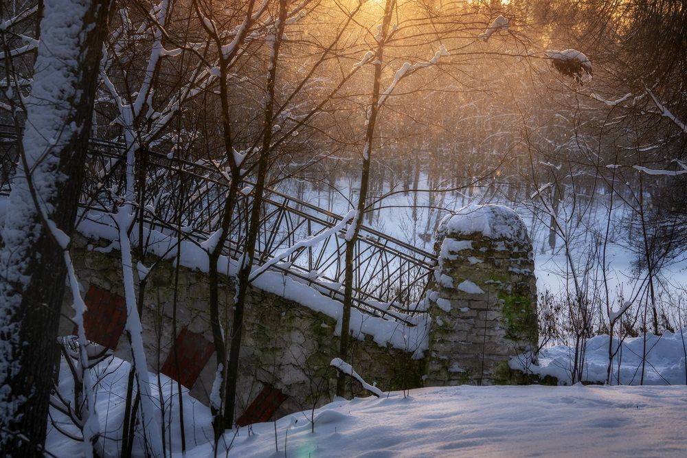 Photograph by Людмила Завьялова