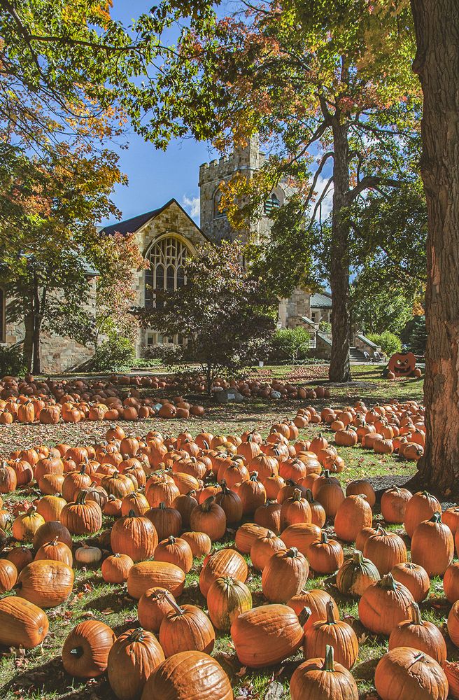 Фотография автора Александер Метт