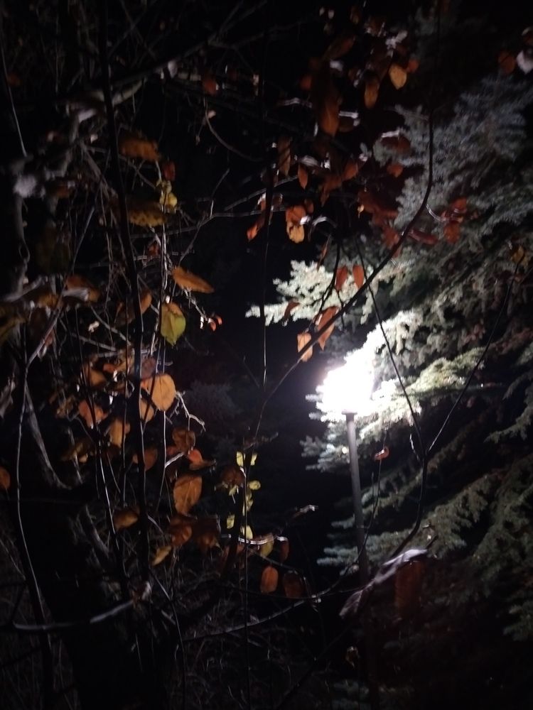 Photograph by Ирина Филиппова