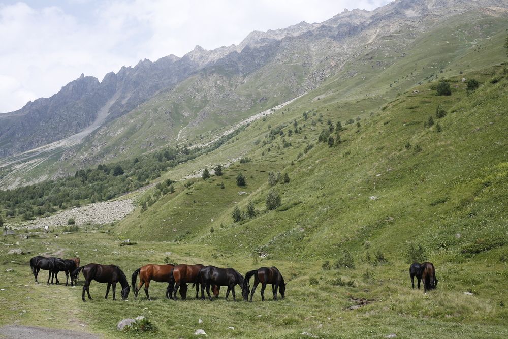 Фотография автора Ольга Слотвинская