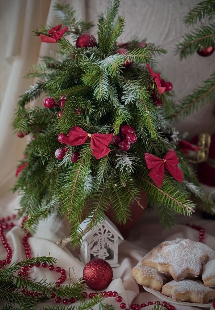 Photograph by Алена Ходатович