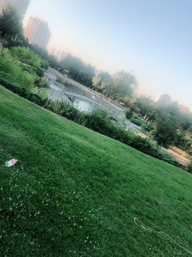 Фотография автора Büşra Bekar