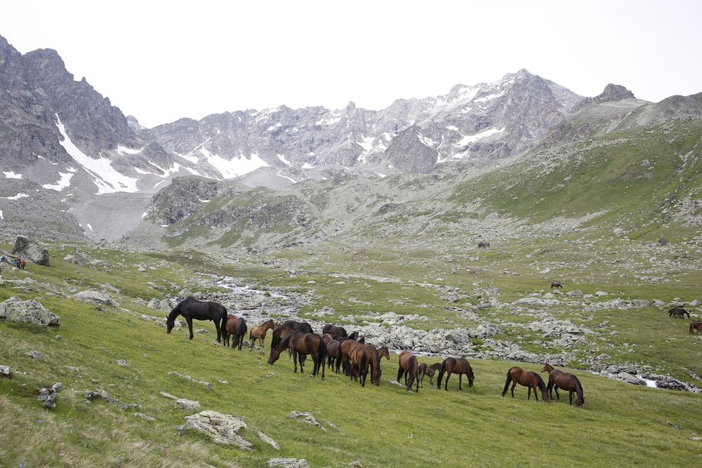Фотография автора Ольга Слотвинская