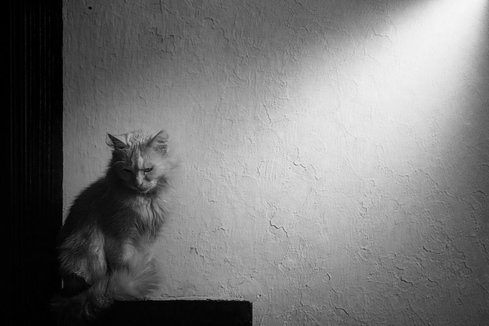 Photograph by Даниил Сырбу