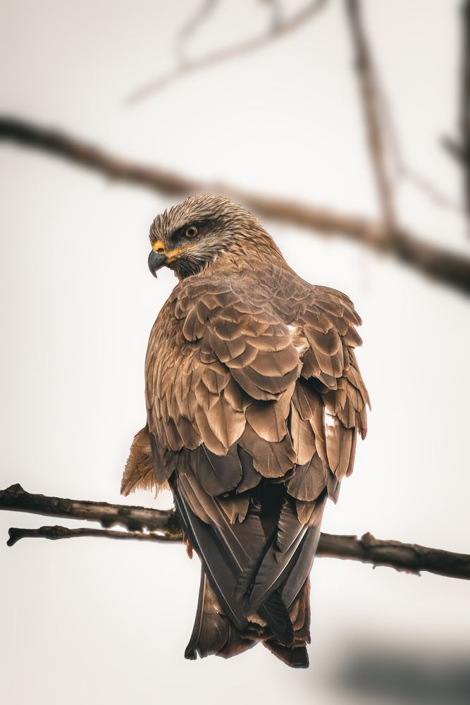 Photograph by Даниил Сырбу