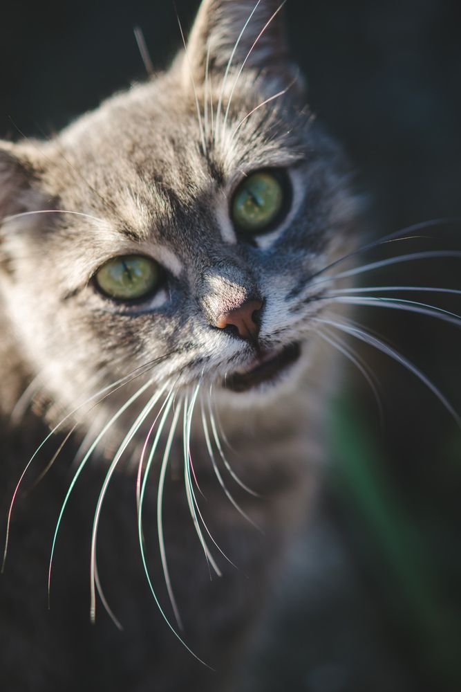 Photograph by Дмитрий Задорожный