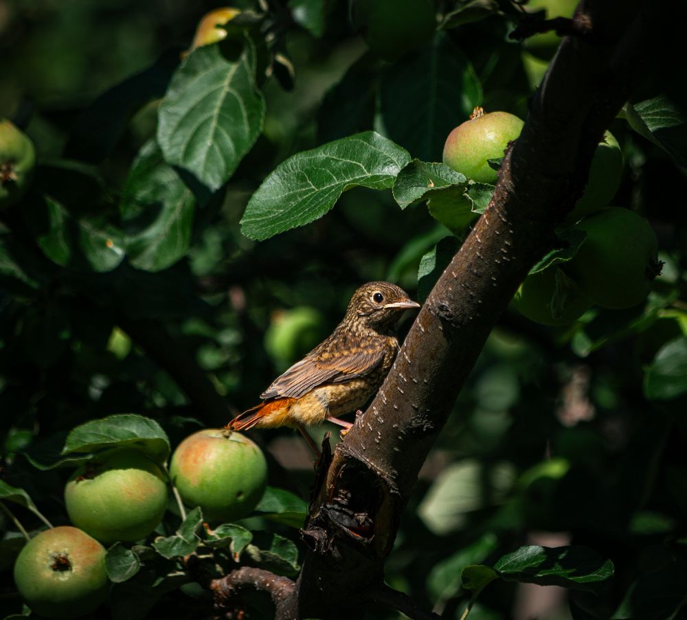 Photograph by Николай Захаров