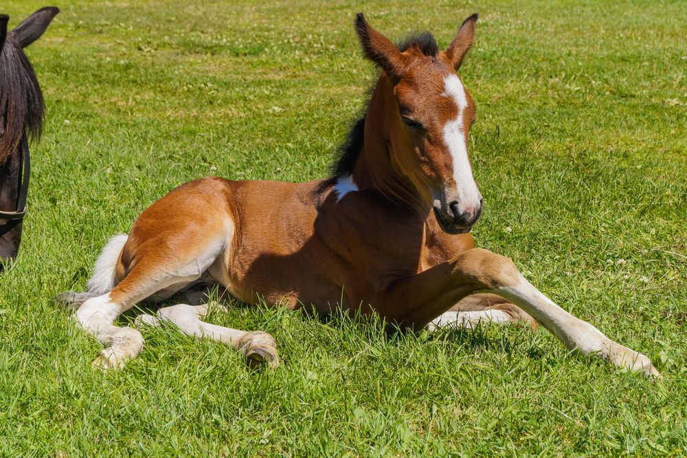 Photograph by Виктор Сёмушкин
