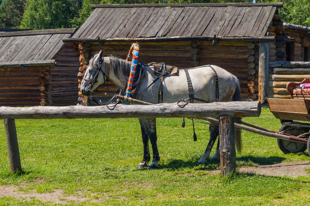 Photograph by Виктор Сёмушкин