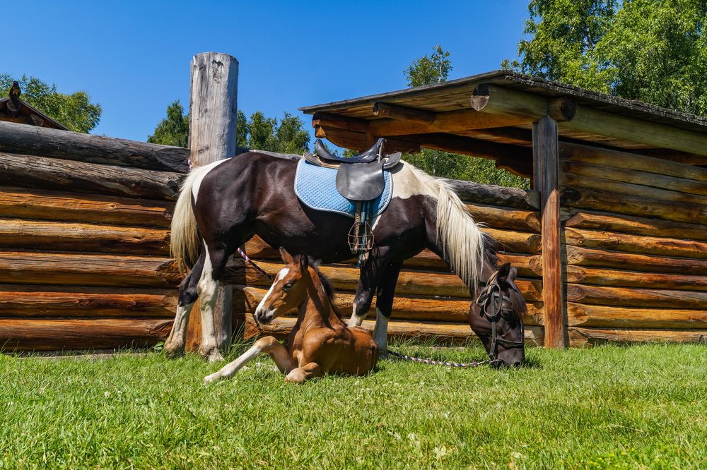 Photograph by Виктор Сёмушкин