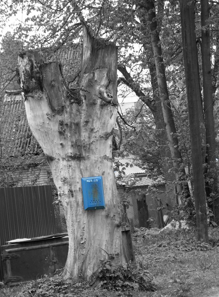 Photograph by Pavel Gukov