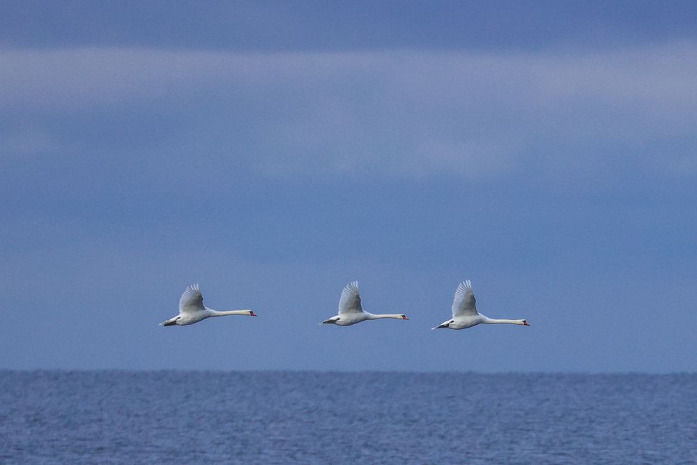 Photograph by Светлана Медведева