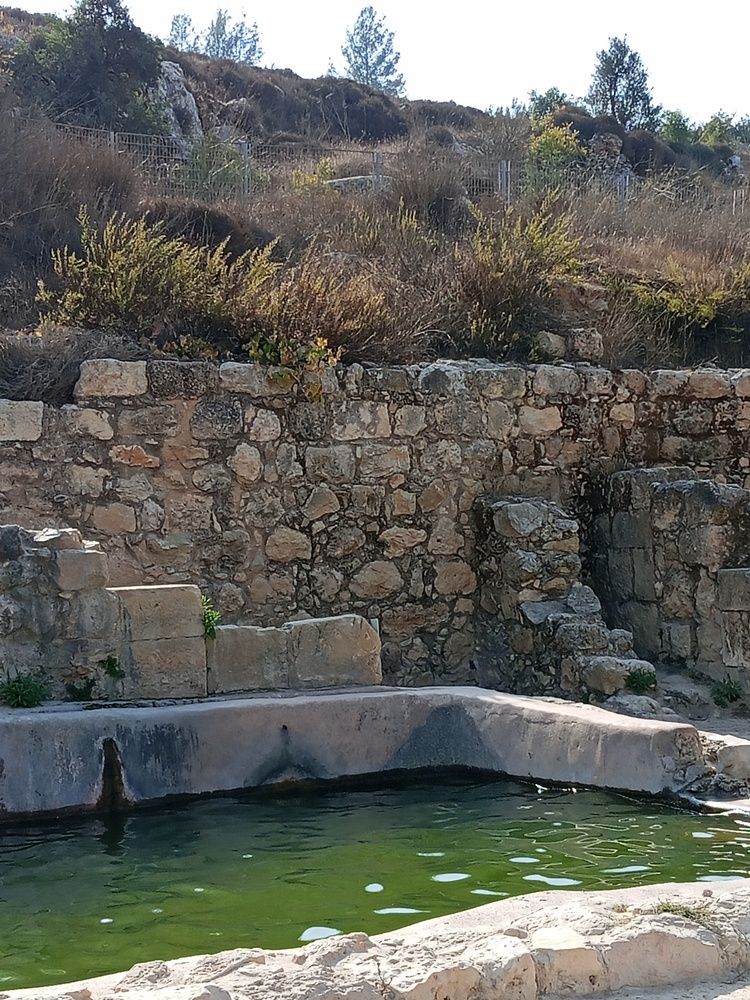 Photo #13078340