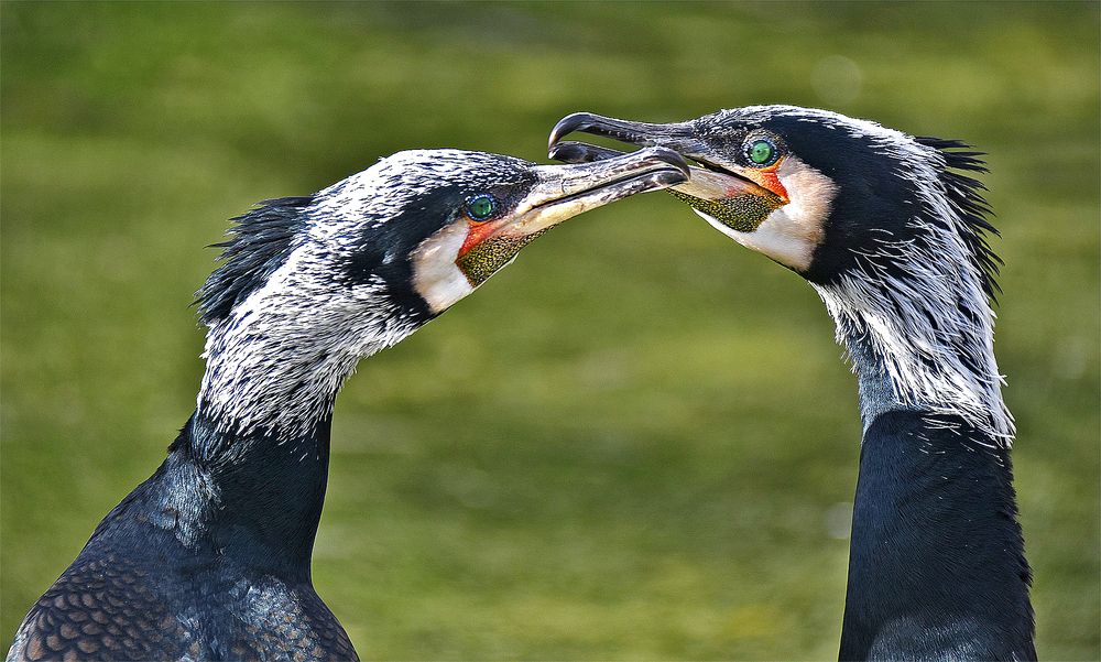 Photograph by Marjo Steffen